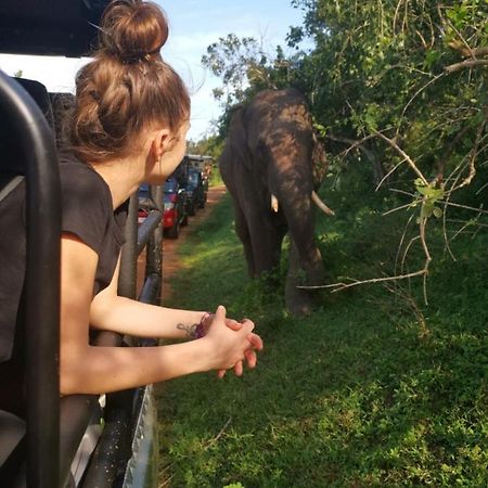 Lavender Home Yala Safari Tissamaharama Ngoại thất bức ảnh