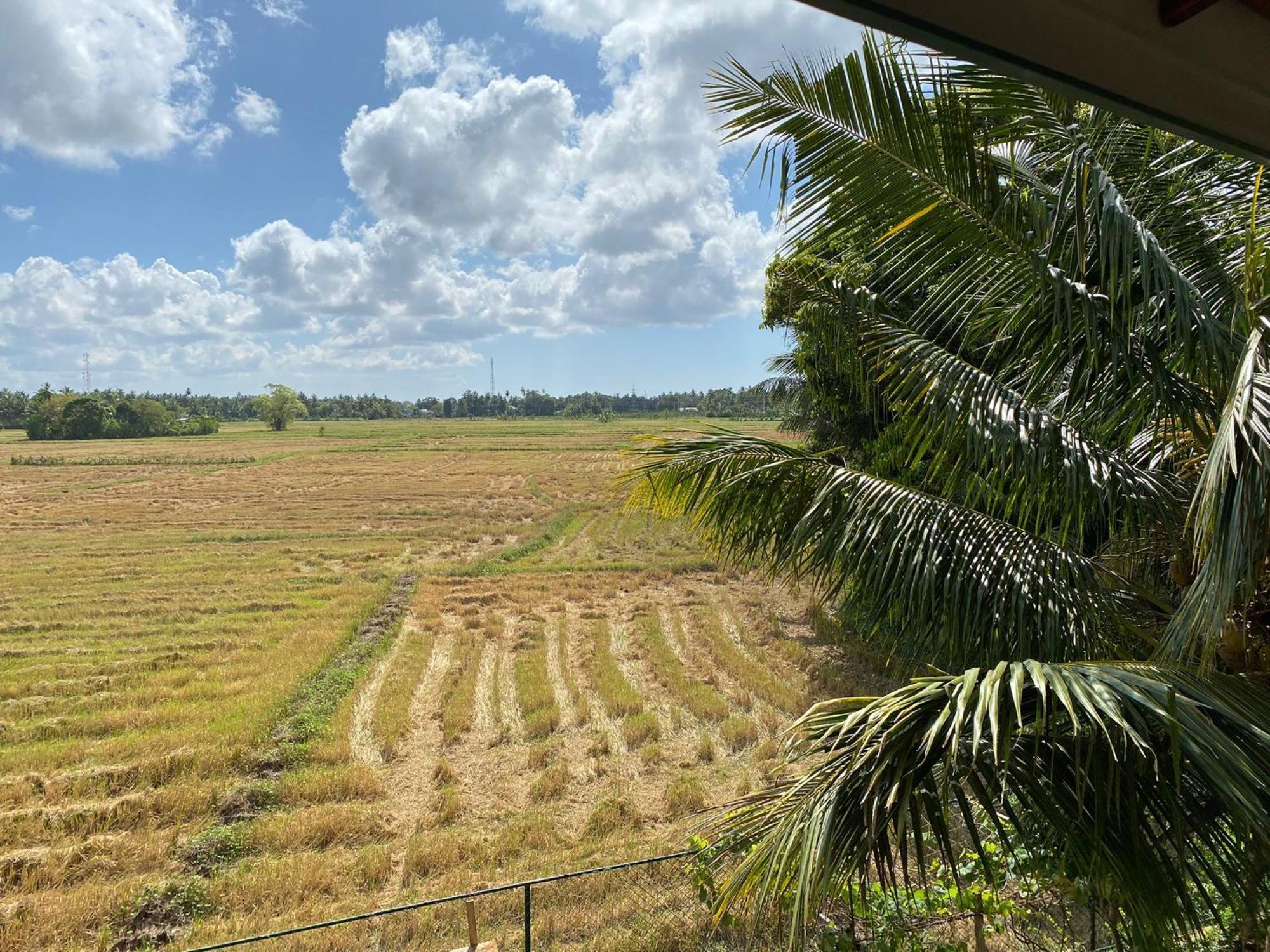 Lavender Home Yala Safari Tissamaharama Ngoại thất bức ảnh