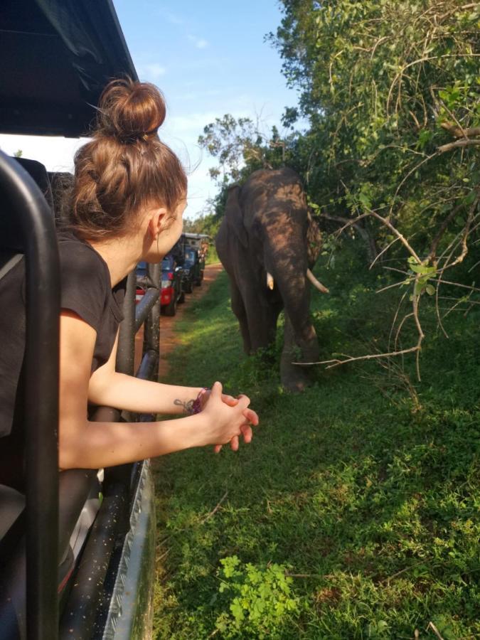 Lavender Home Yala Safari Tissamaharama Ngoại thất bức ảnh