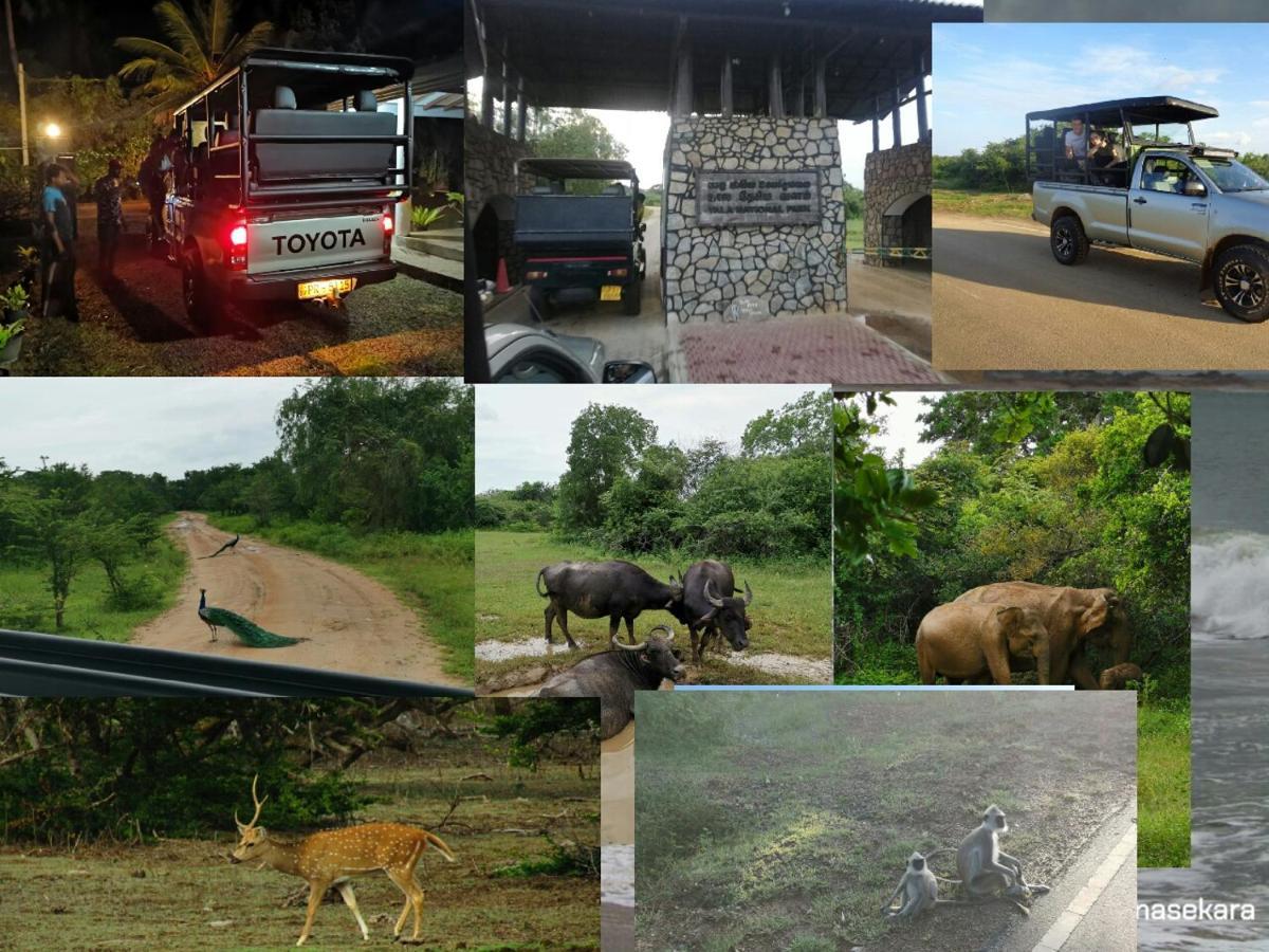 Lavender Home Yala Safari Tissamaharama Ngoại thất bức ảnh
