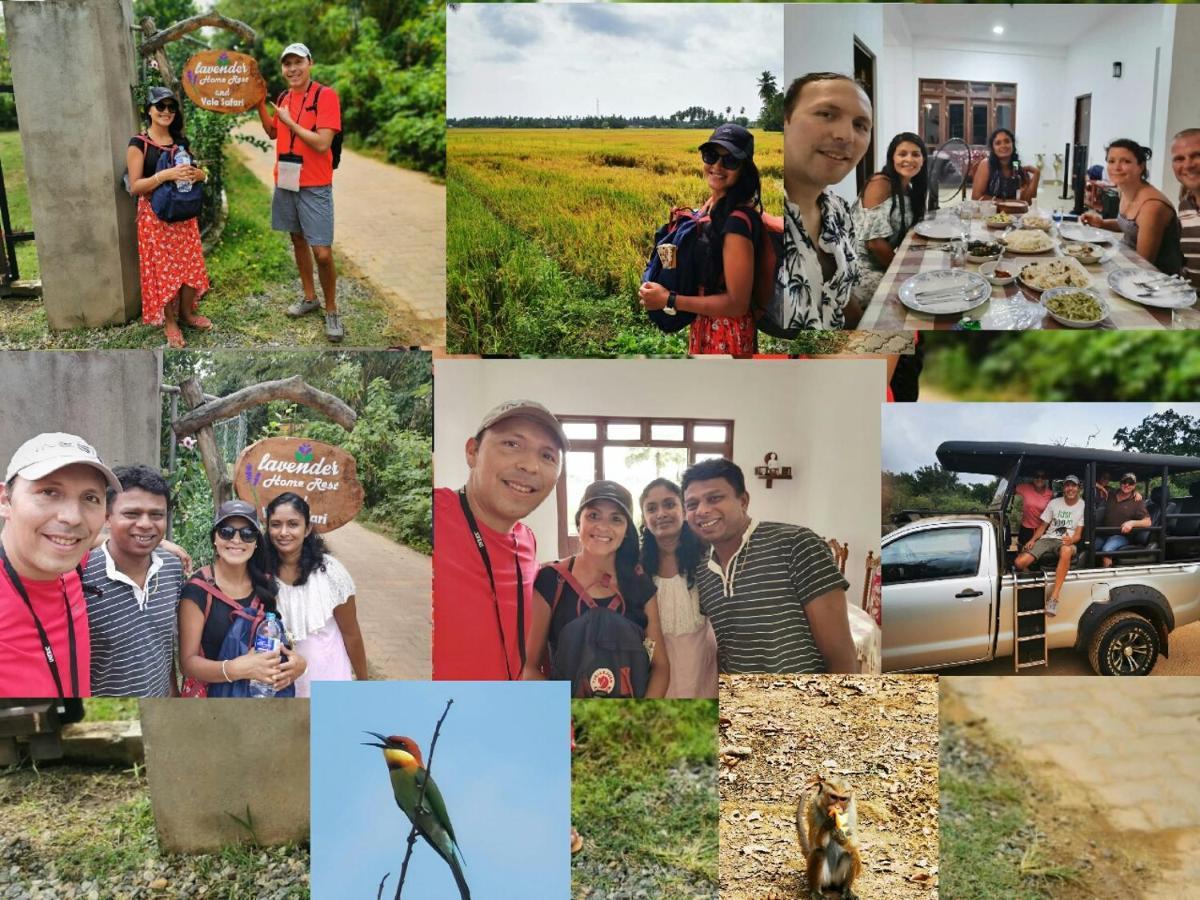 Lavender Home Yala Safari Tissamaharama Ngoại thất bức ảnh